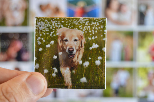 2x2” Custom Photo Magnets - Set of 18